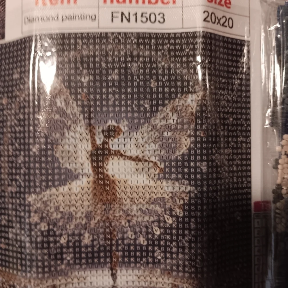 Diamond Painting Kit with Beads 20x20